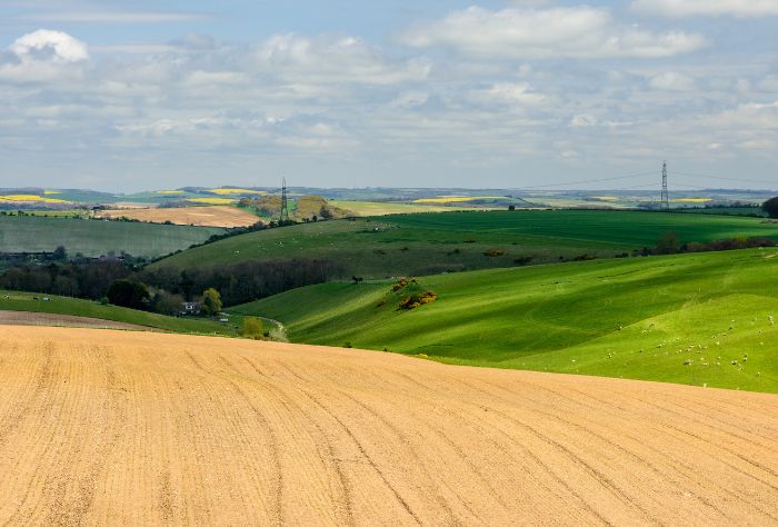 Dorset Downs, UK