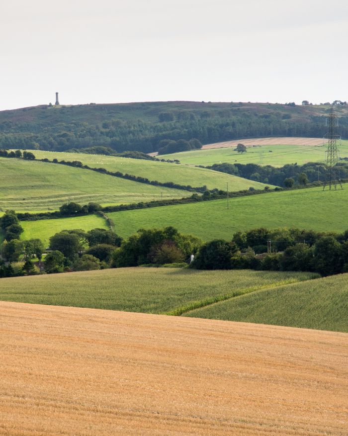 Winterbourne Abbas valley, Dorset Downs, UK