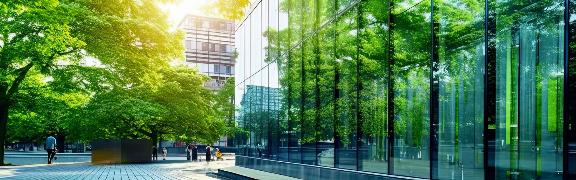 building and a tree