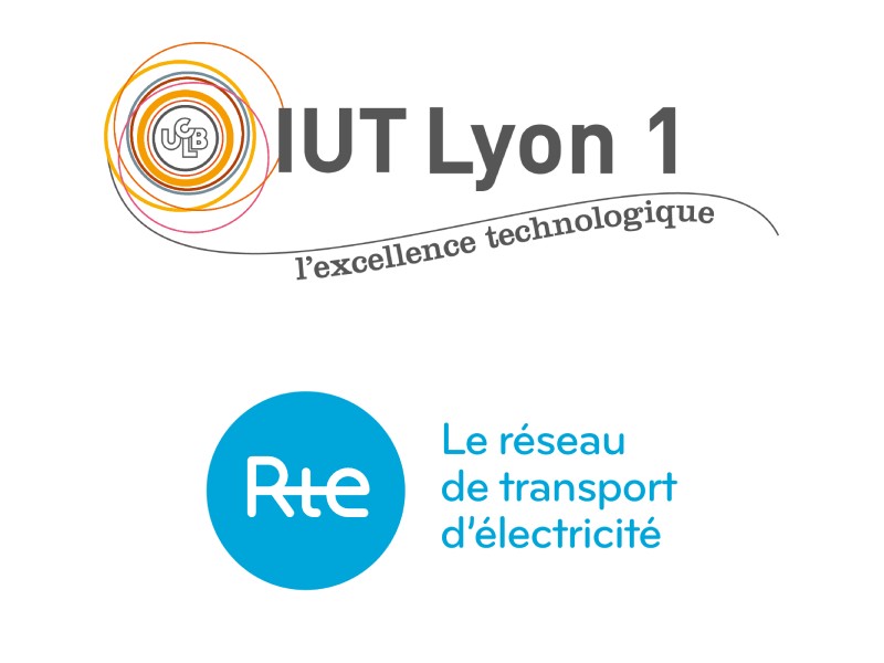 logos-iut-lyon-rte