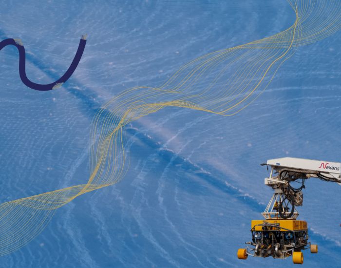 IMR subsea cable resilience